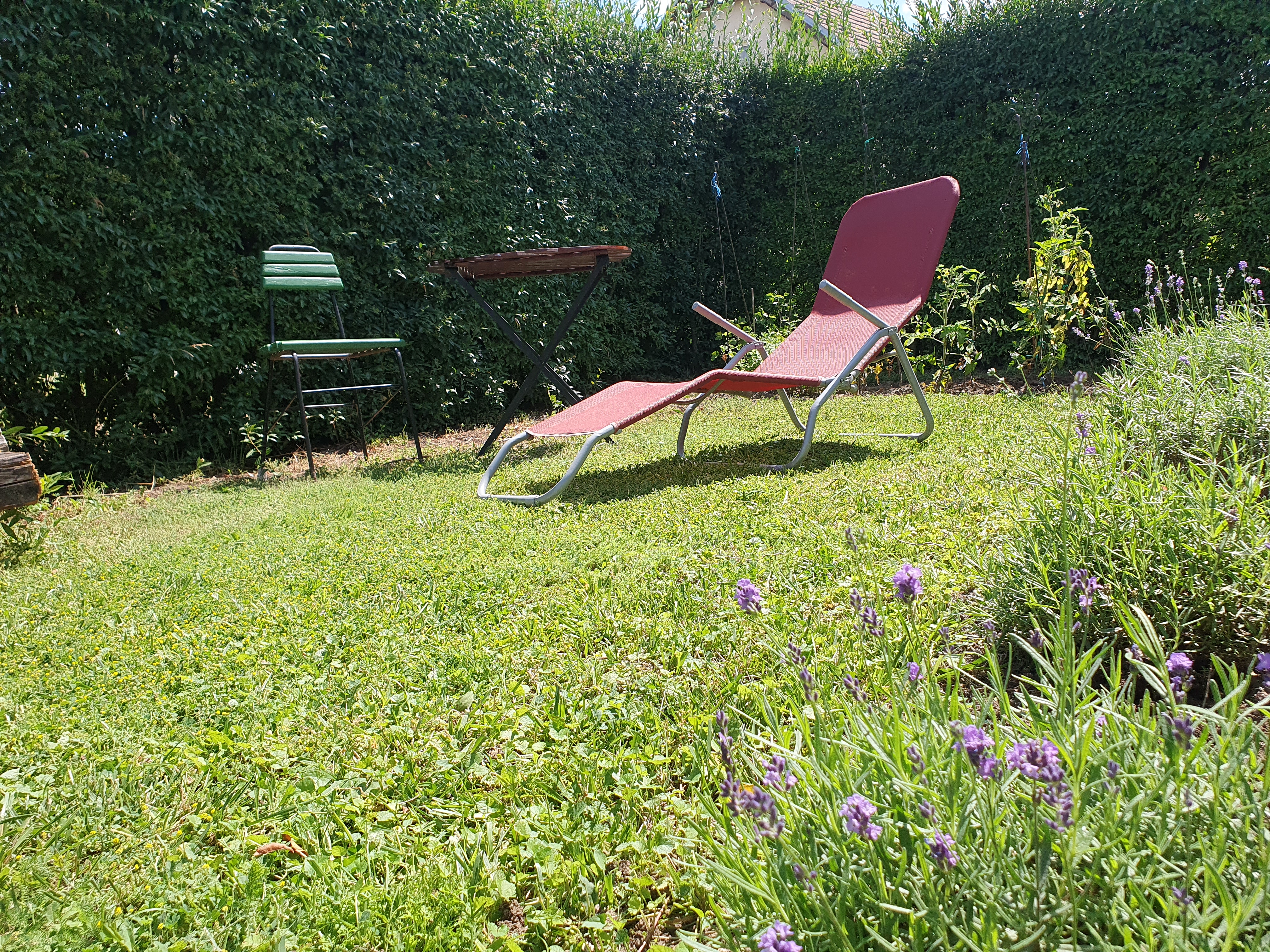Gallery Image 18